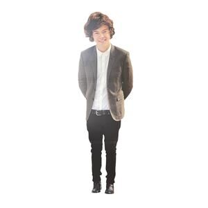 Harry Styles Life Size Celebrity Cardboard Cutout 6 Feet Tall